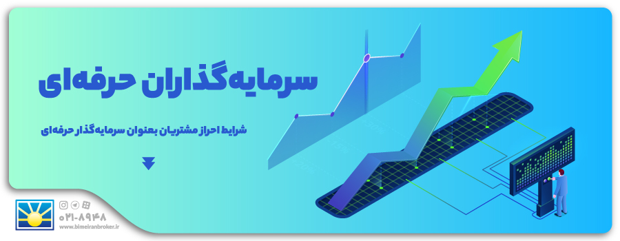 سرمایه گذاران حرفه ای